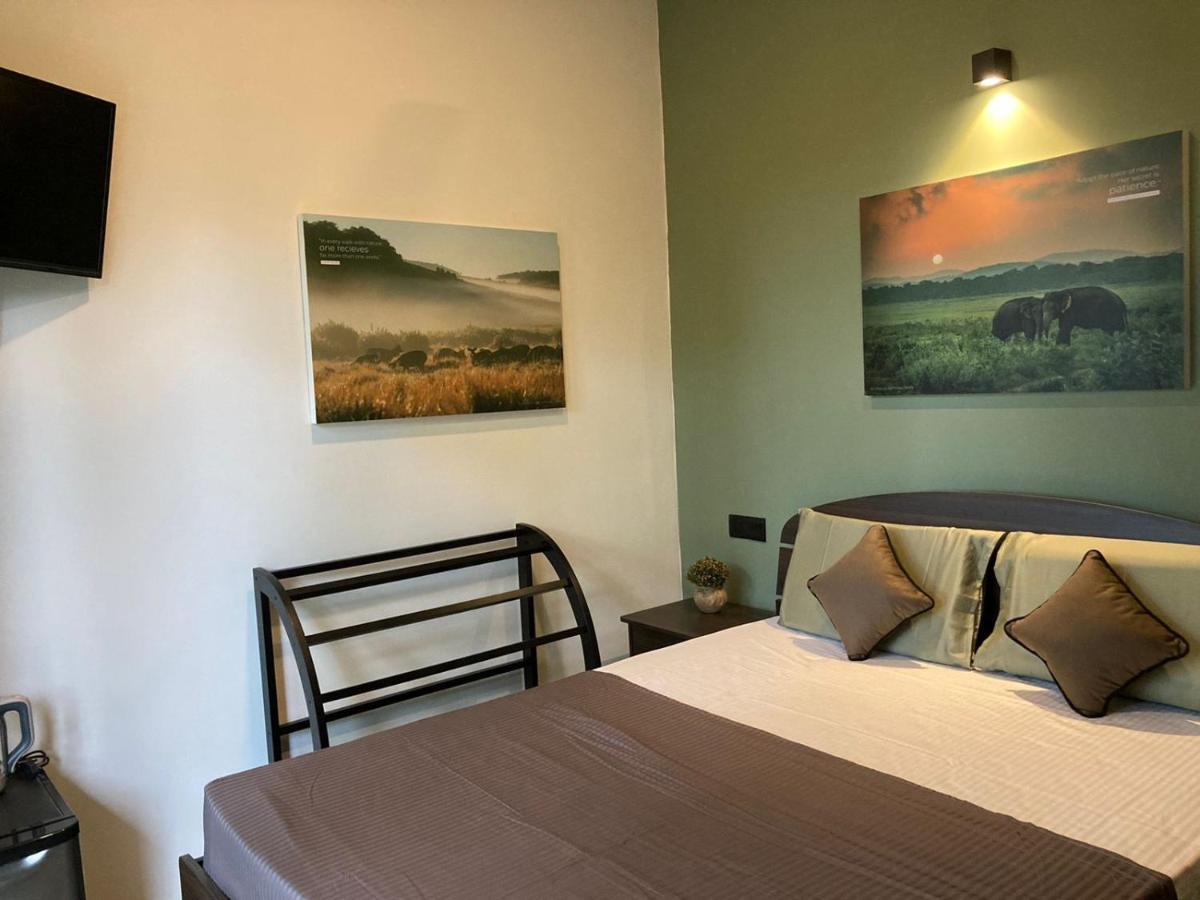 Star Gaze Lodge 埃拉 外观 照片