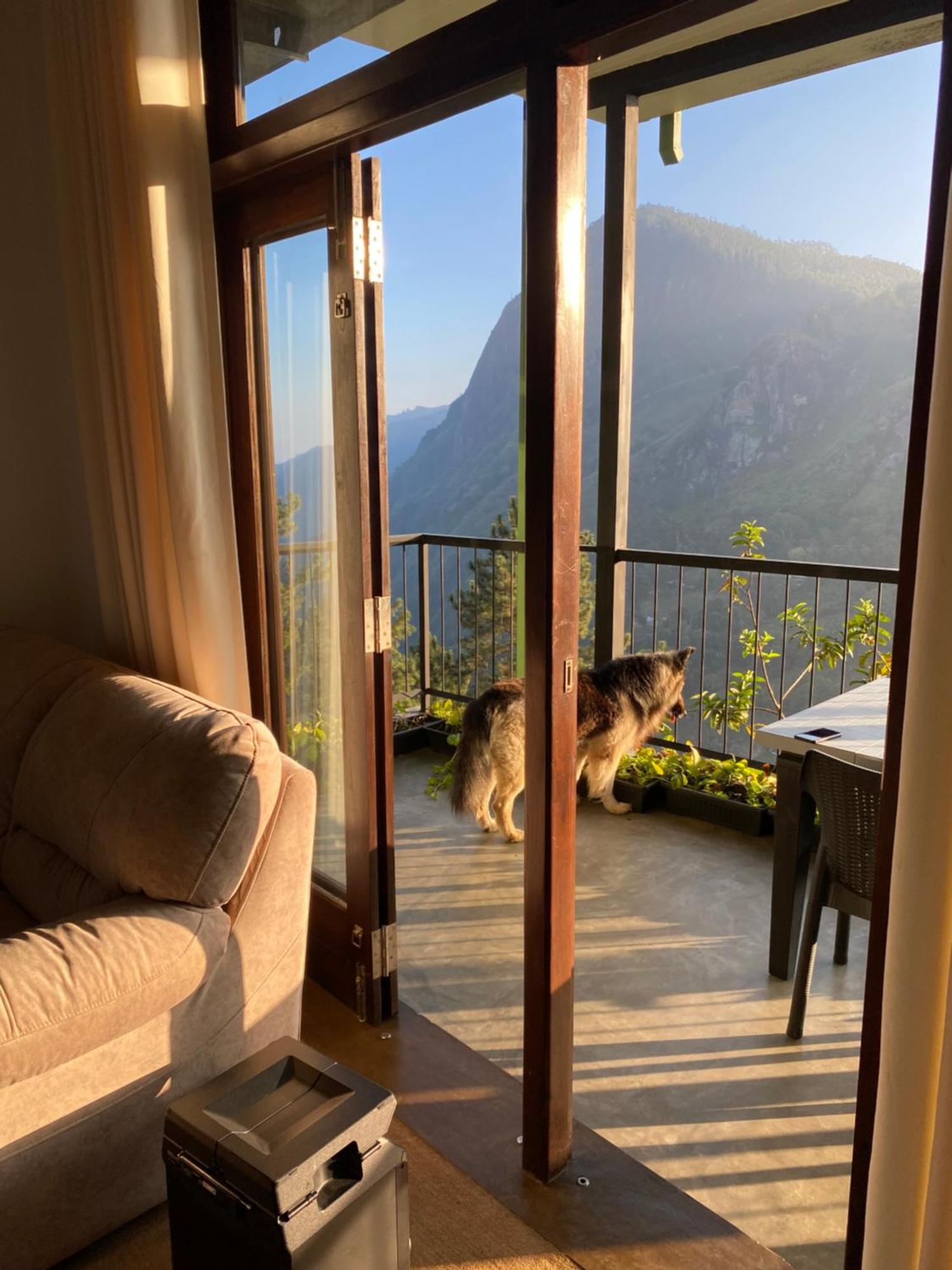 Star Gaze Lodge 埃拉 外观 照片